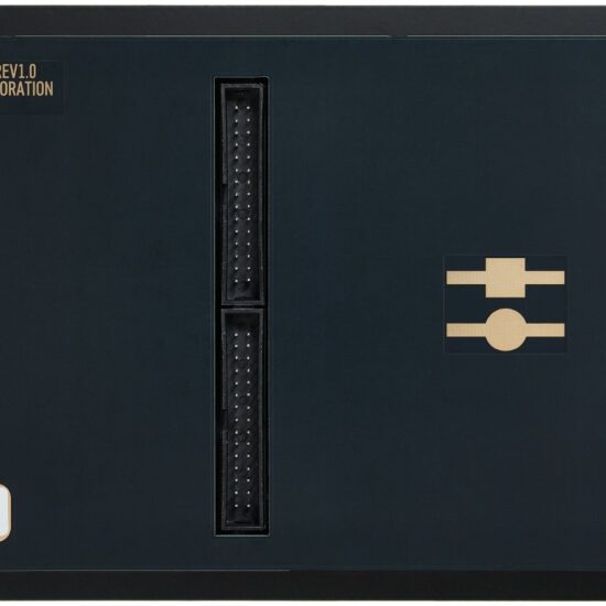 BLACK CORPORATION ISE-NIN Voice Eurorack Module – Image 2