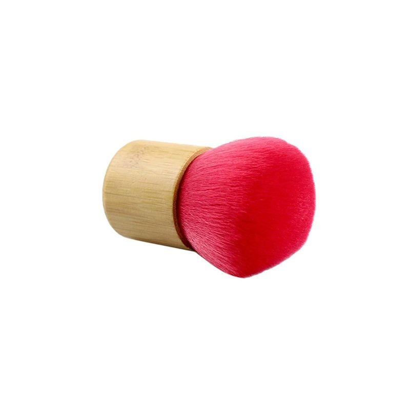 BROSSE ANTISTATIC VINYLE - BVA 25