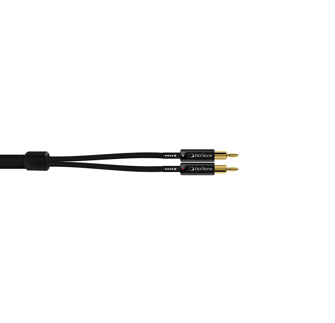 Câble HP Banane ARRAN - 5m – Image 2