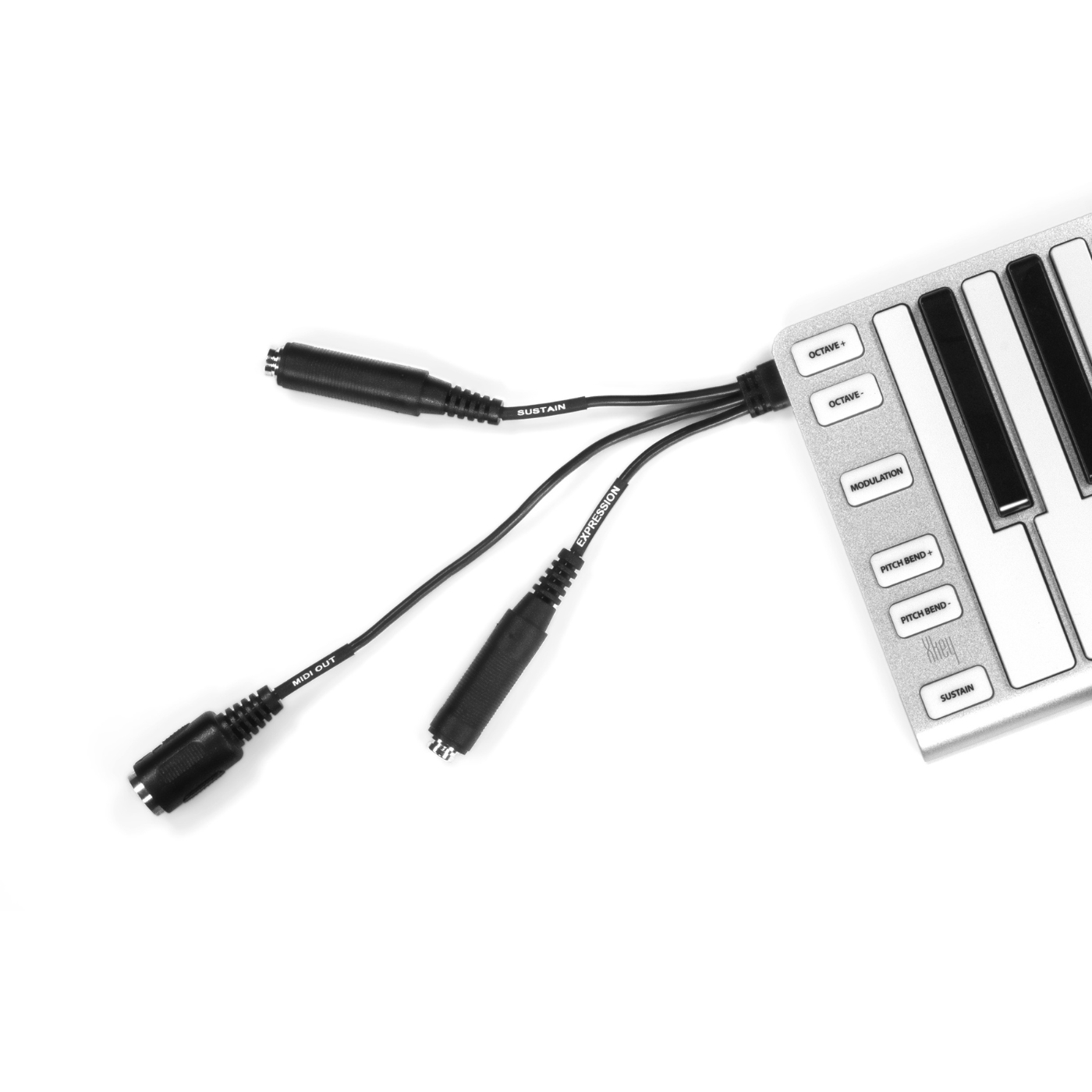 ESI Audio Xkey 37 – Image 3