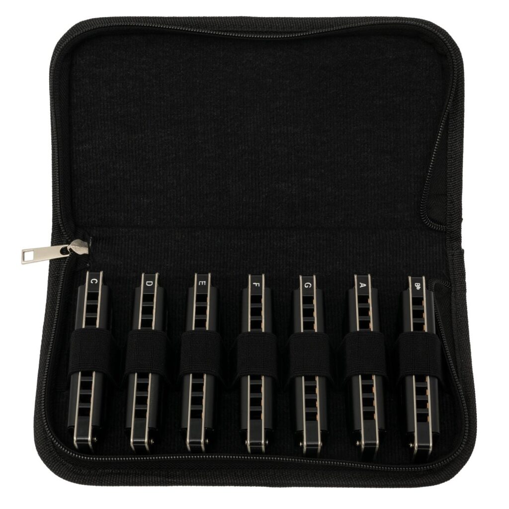 Harmonica Cascha Master Edition Blues en 7 tonalités