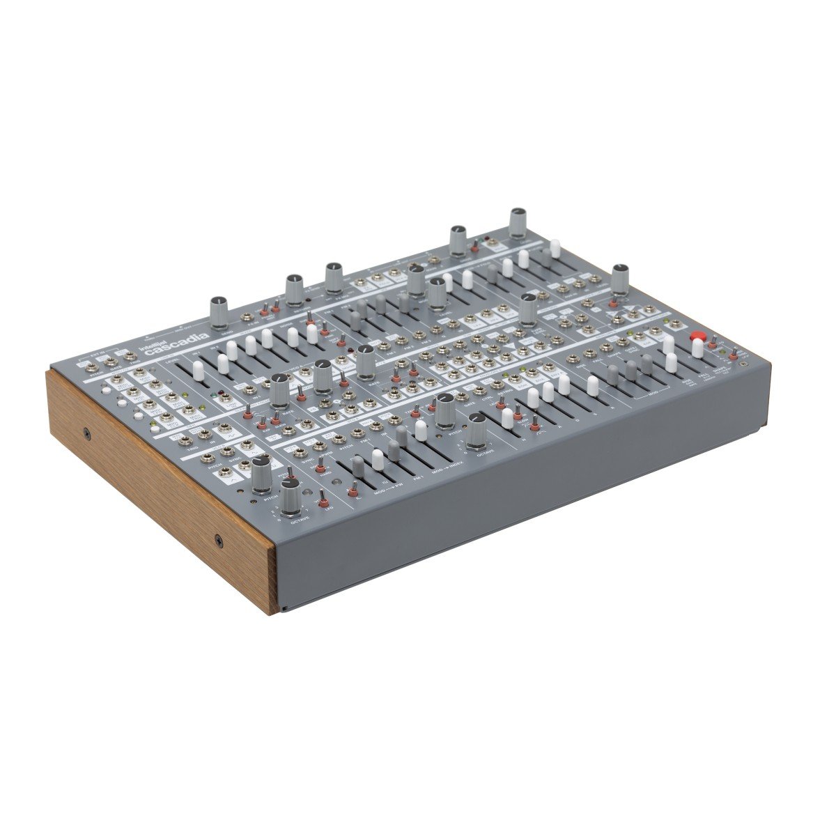 Intellijel Cascadia – Image 4