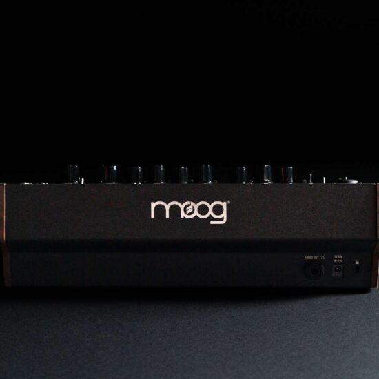MOOG Spectravox – Image 2