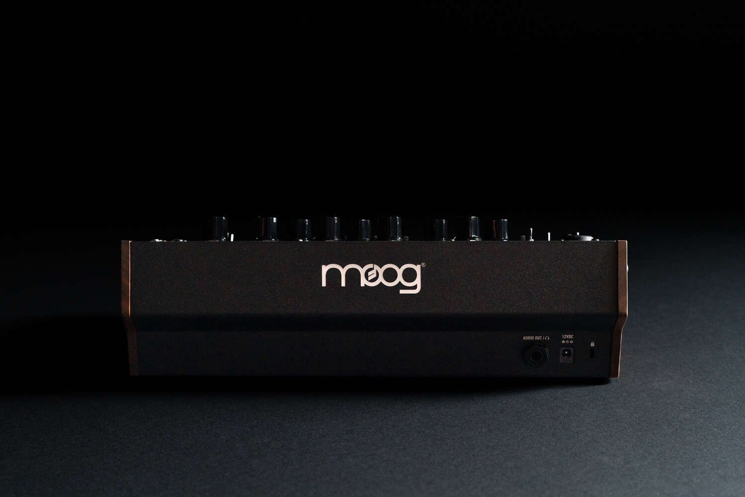 MOOG Spectravox – Image 2
