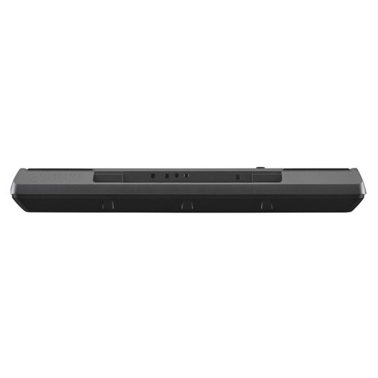 Yamaha PSR-I300 Indian Style – Image 2
