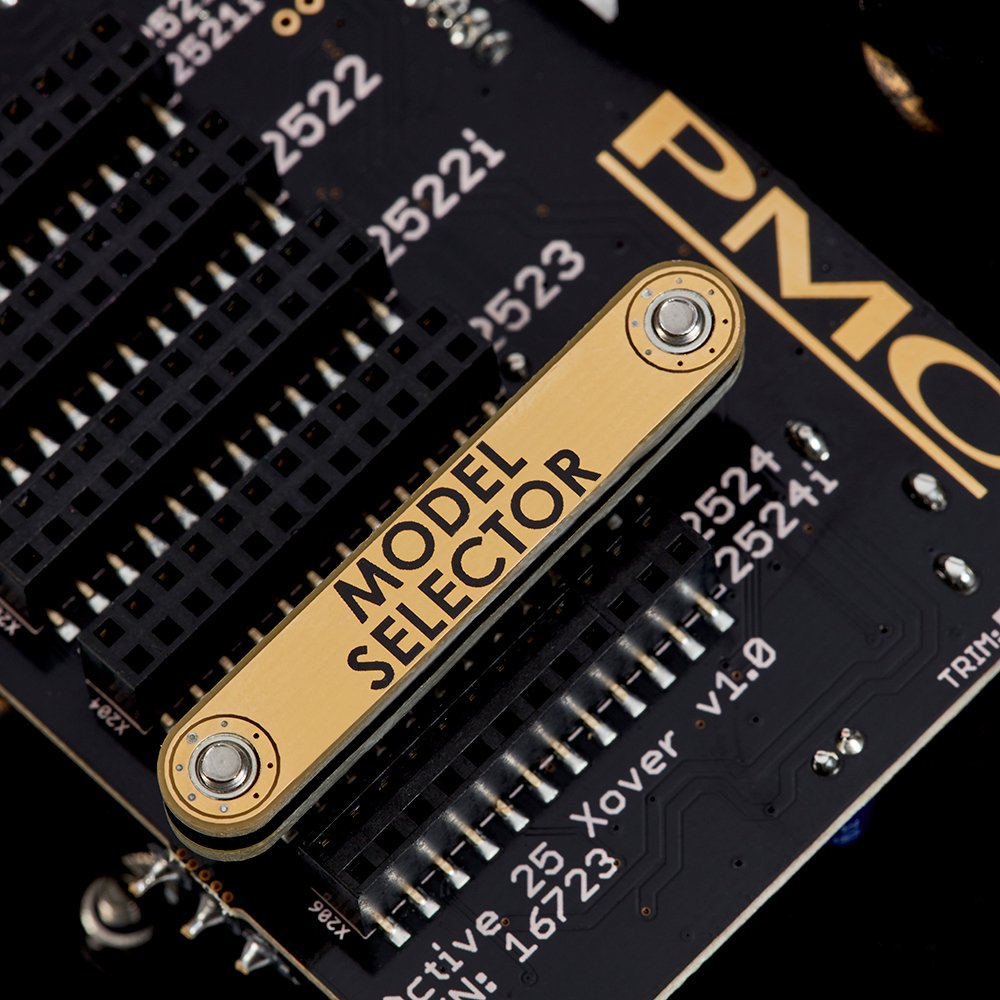 PMC Active twenty5 upgrade (pair)