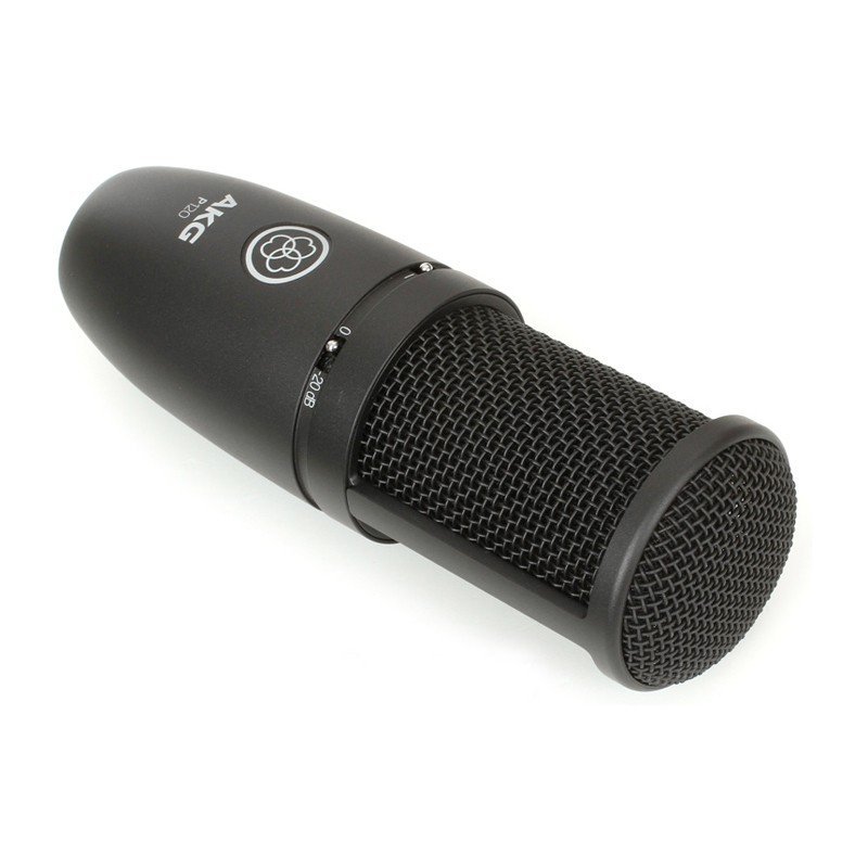 AKG P120