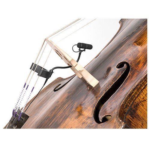 DPA 4099B Bass