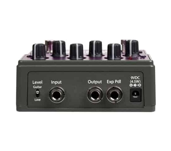EVENTIDE Rose – Image 4
