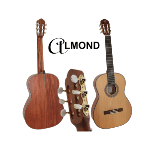 ALMOND Guitar Classic 3/4 Solid Spruce Top/Sapele